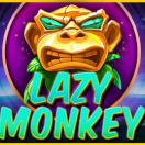 Lazy Monkey